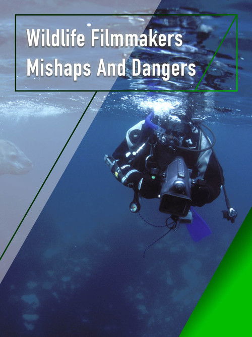 Wildlife Filmmakers: Mishaps and Dangers (2004) poster