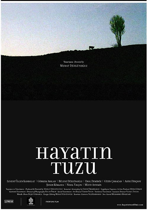 Hayatın Tuzu (2008) poster