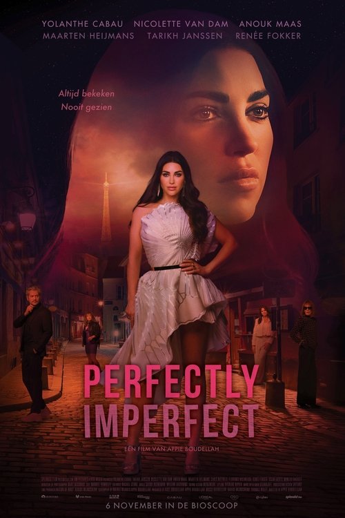 Perfectly Imperfect (2025) poster