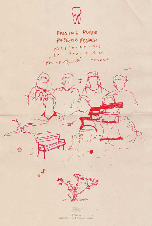 Passing Place (2021) poster