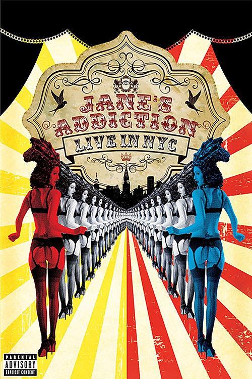 Jane's Addiction - Live in NYC (2013) poster