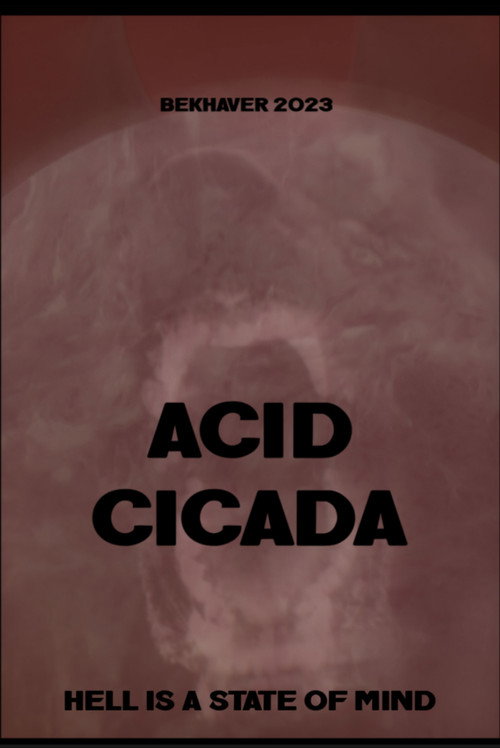 ACID CICADA poster
