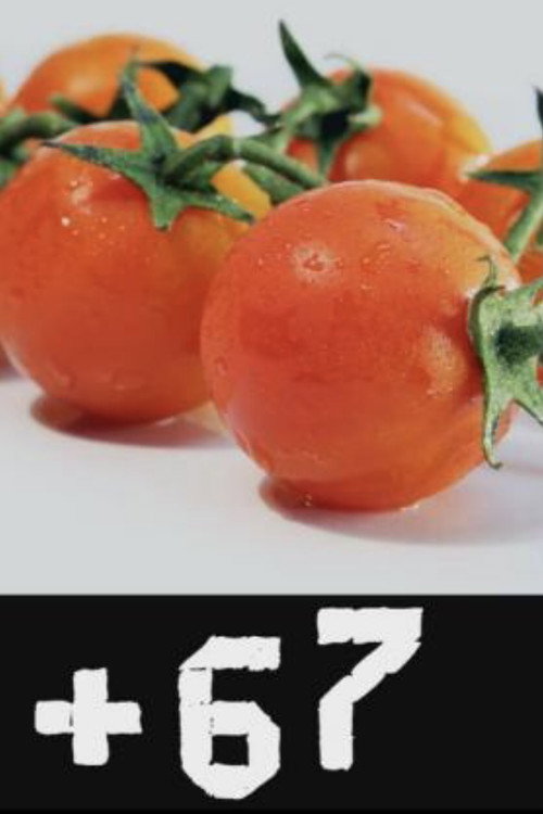 #67 (2012) poster