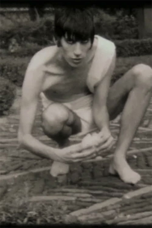 Discordia (2009) poster