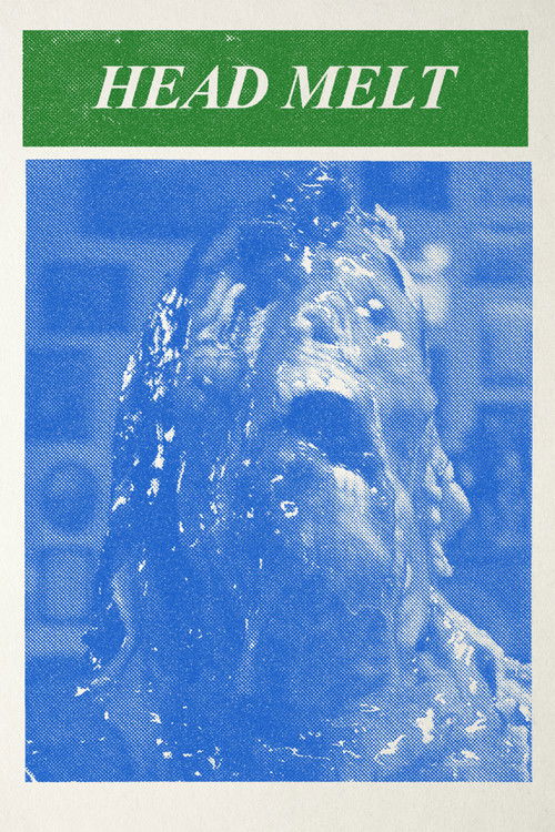 Head Melt (2009) poster
