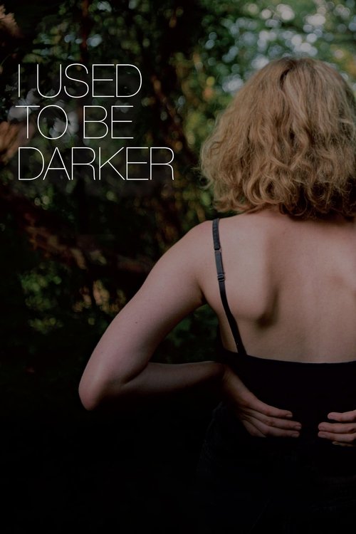 I Used To Be Darker (2013) poster