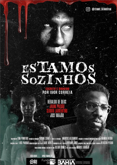 Estamos Sozinhos poster