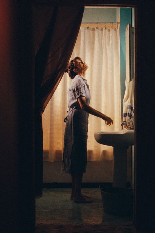 An Interior Body (2022) poster