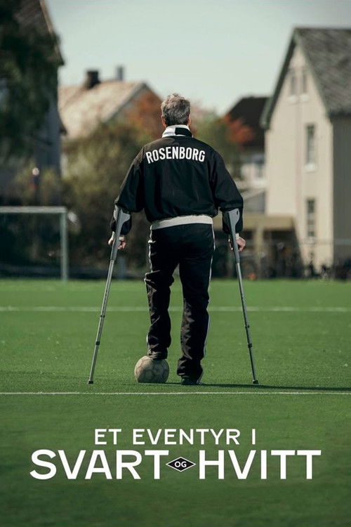 Et eventyr i svart og hvitt (2017) poster