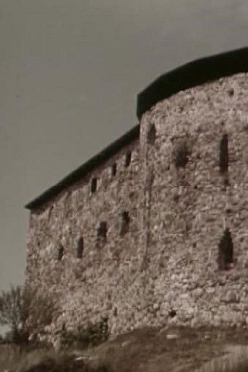 Sveaborg (1965) poster