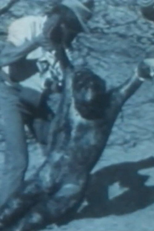 Senderos de violencia (1985) poster