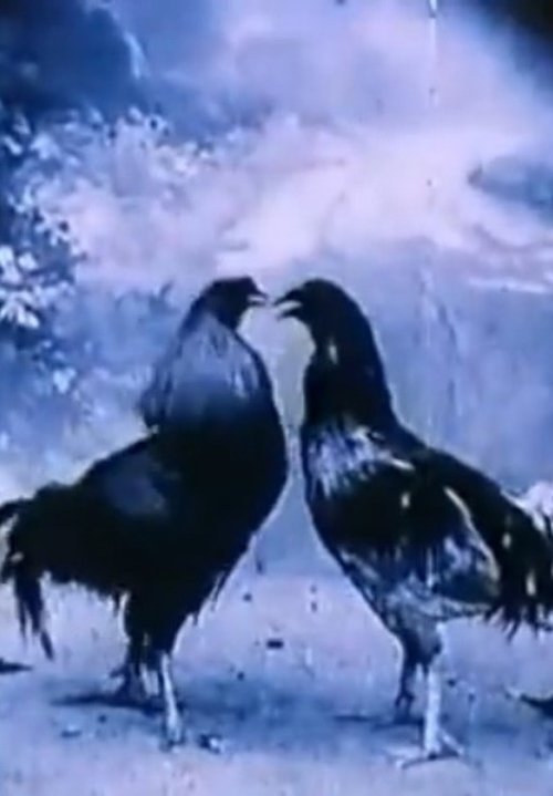 Animali Criminali (1994) poster