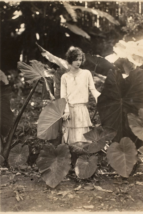 Na Primavera da Vida (1926) poster