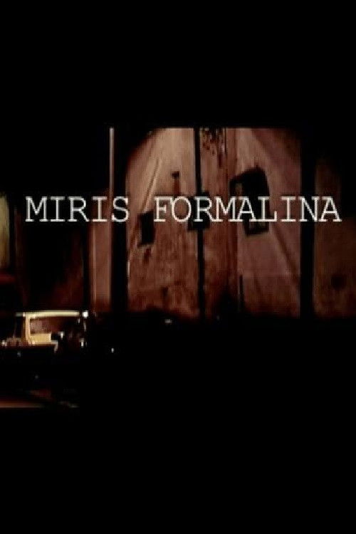 The Scent of Formaldehyde (2005) poster