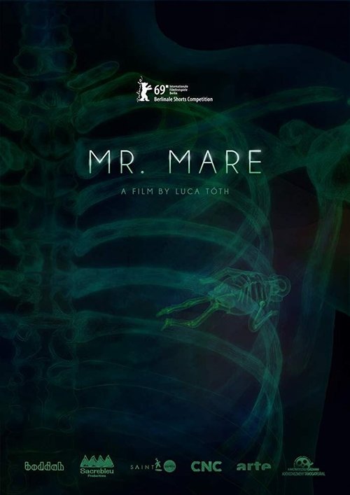 Mr. Mare (2019) poster