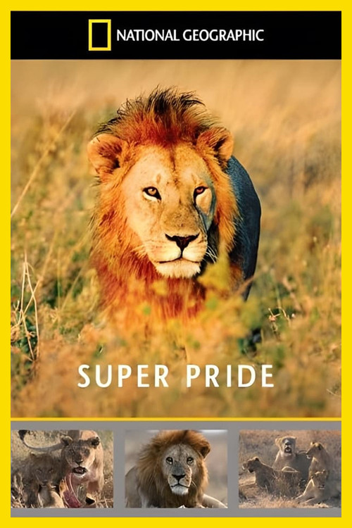 Superpride (2008) poster