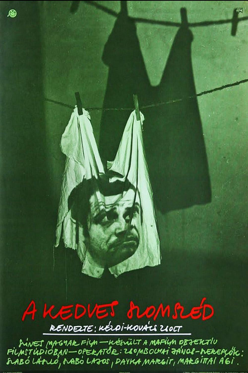 A Nice Neighbor (1979) poster