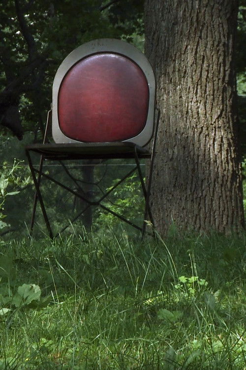 The Chairs (2008) poster