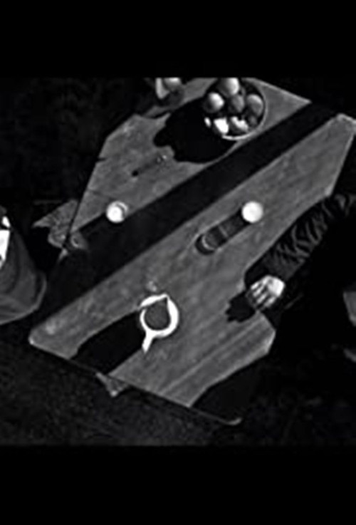 Anima Animus (2012) poster