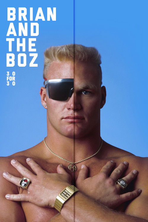 Brian and the Boz (2014) poster
