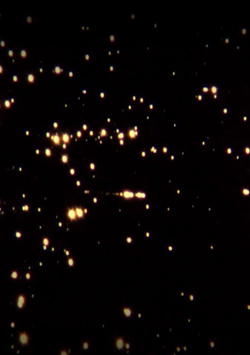 Tigre del Carbón (2022) poster