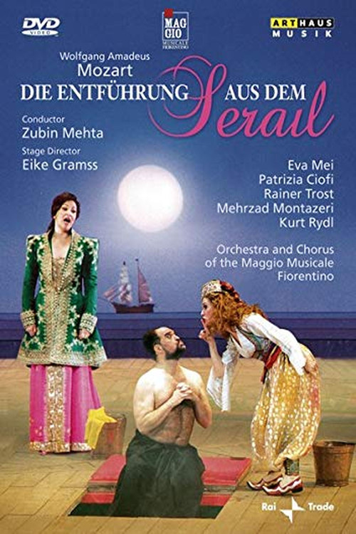 The Abduction from the Seraglio (2002) poster