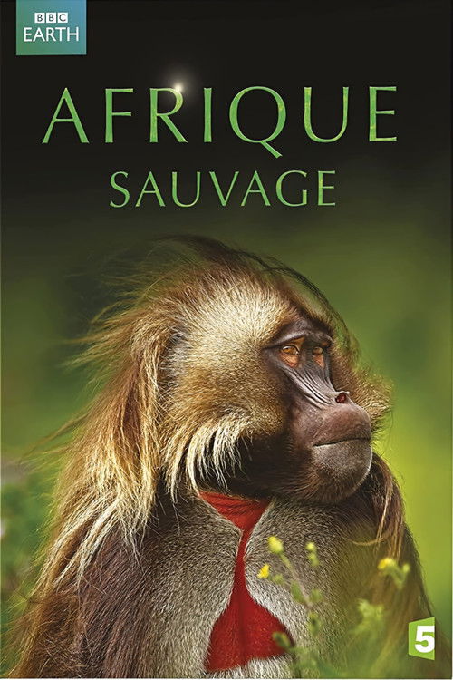 Afrique Sauvage (2012) poster