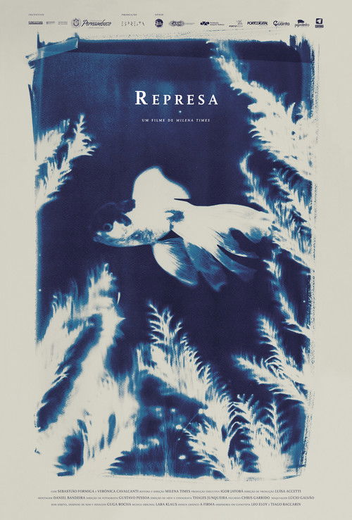 Represa (2016) poster