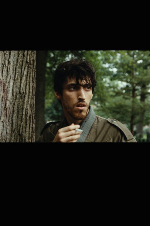 Bird Show (2023) poster