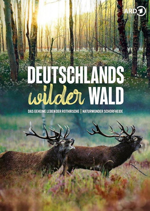 Das geheime Leben der Rothirsche (2020) poster