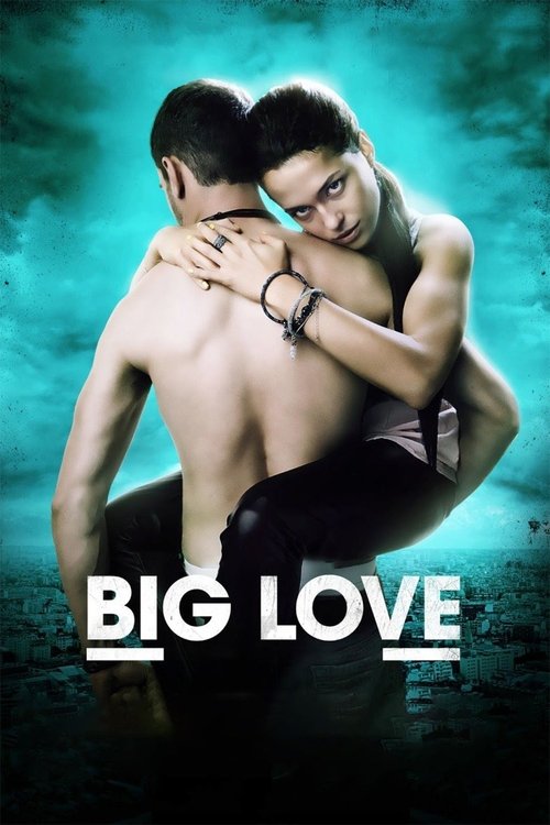 Big Love (2012) poster