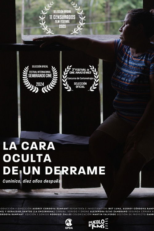 La cara oculta de un derrame (2024) poster