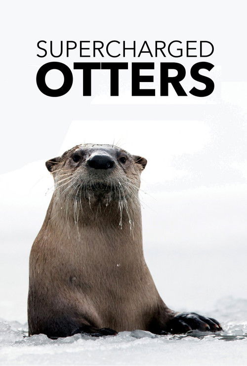 Supercharged Otters (2017) poster