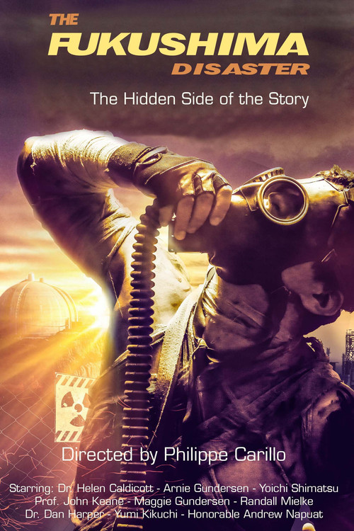 The Fukushima Disaster: The Hidden Side of The Story (2023) poster