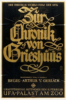 The Chronicles of the Gray House (1925) poster