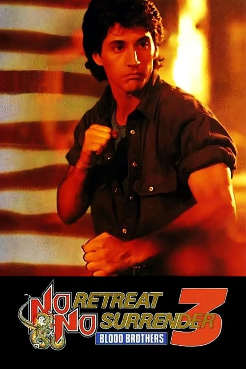 No Retreat, No Surrender 3: Blood Brothers (1990) poster