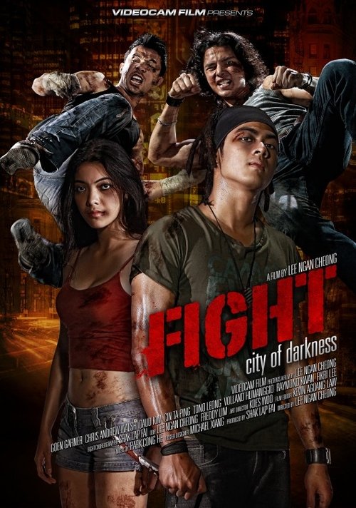 Fight: City of Darkness (2011) poster