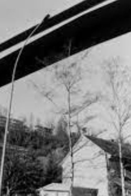 The Red Bridge (1992) poster