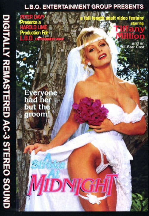 A Stroke at Midnight (1993) poster