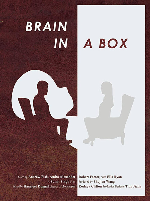 Brain in a Box (2017) poster