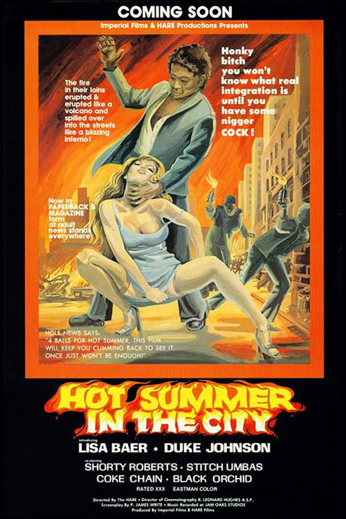 Hot Summer In The City (1976) poster