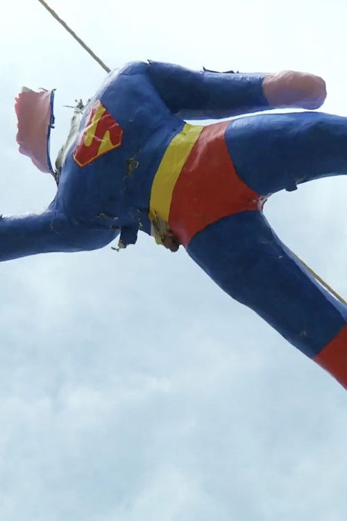 Children’s Game #13: Piñata (2012) poster