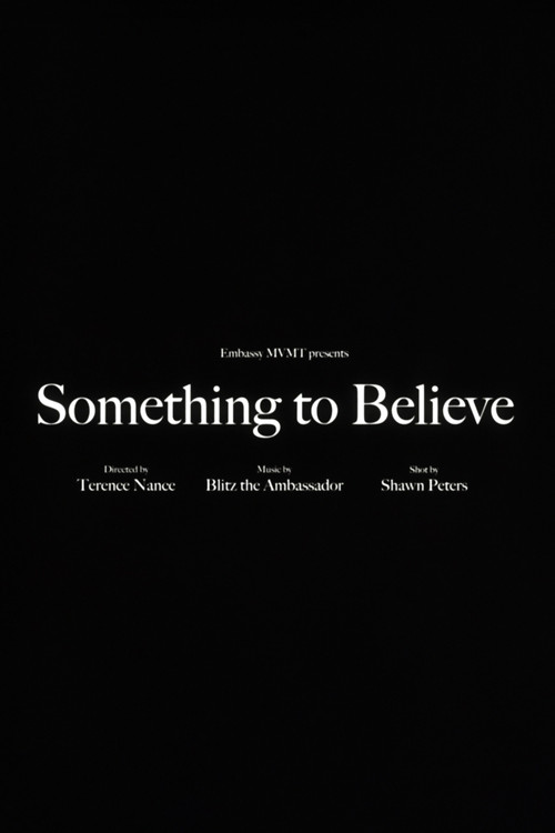 Blitz the Ambassador - Something to Believe (2010) poster