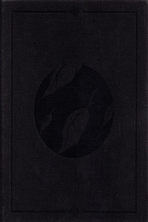 Clandestine (2003) poster