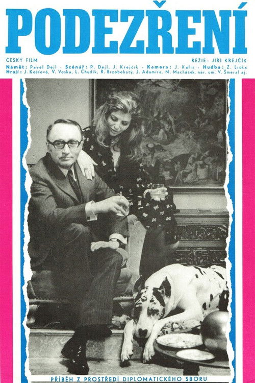 Podezření (1973) poster