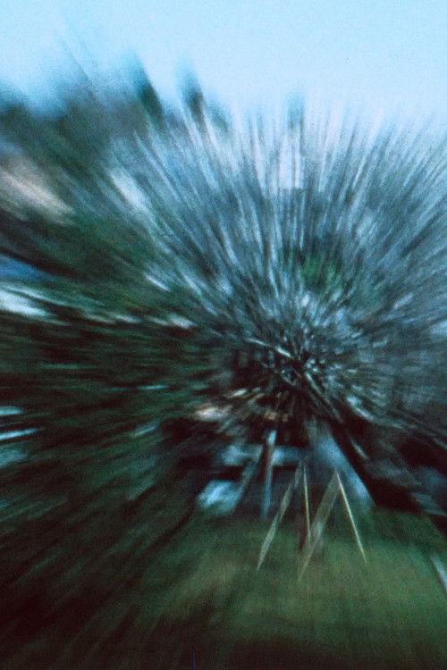 Backyard (1982) poster