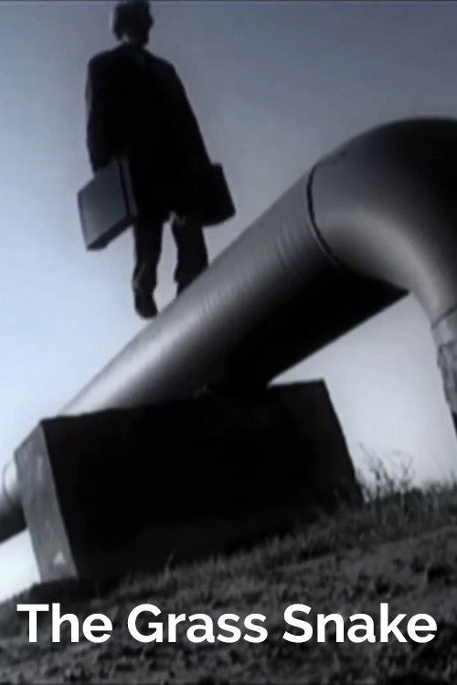 The Grass Snake (2009) poster