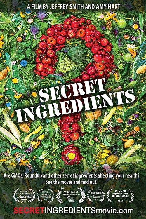 Secret Ingredients (2018) poster