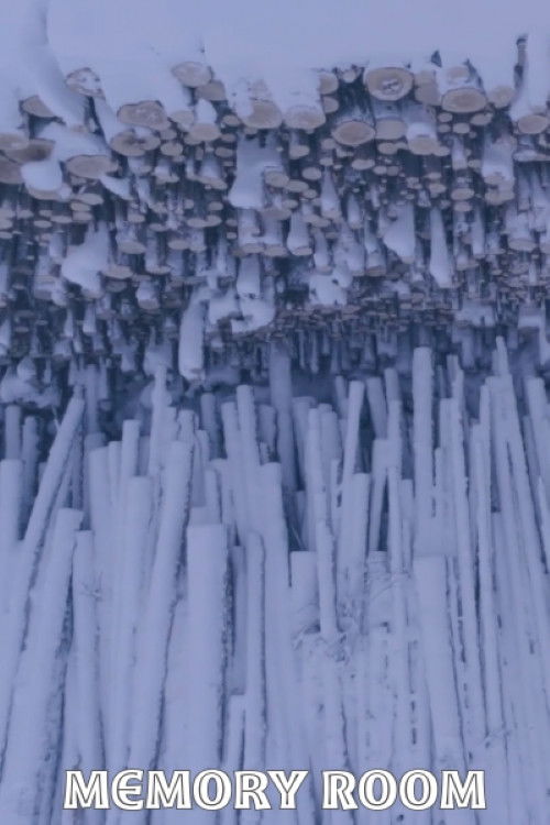 Memory Room (2019) poster