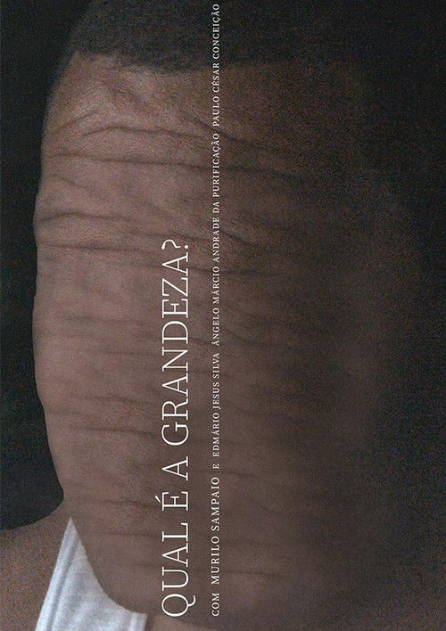 Qual é a Grandeza? (2022) poster